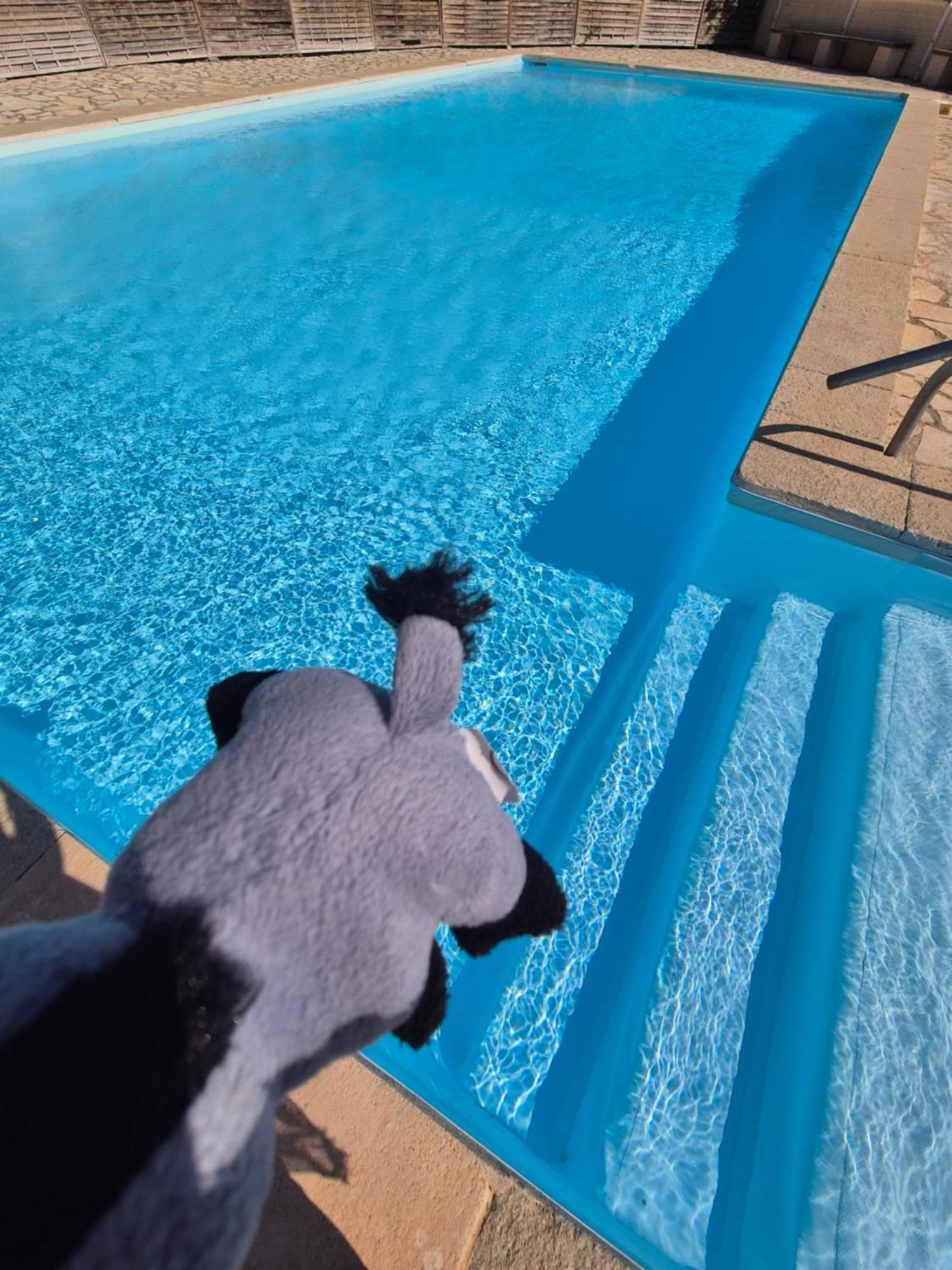 Havre De Paix Appart Climatise,Piscine,Wifi Ле Баркарес Экстерьер фото